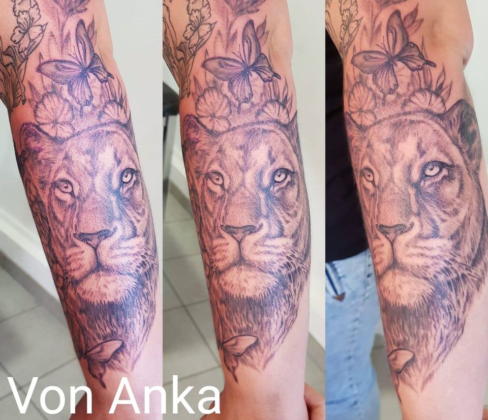 Löwe von Anka