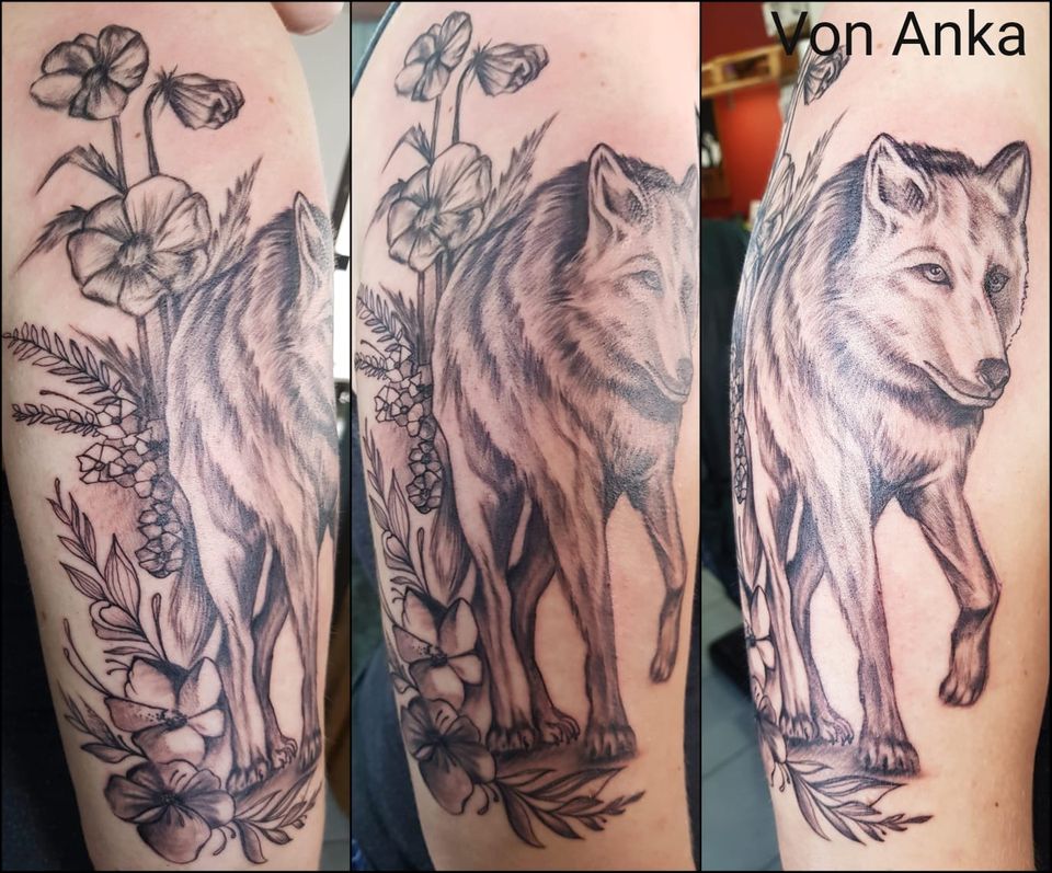 Wolf by Anka